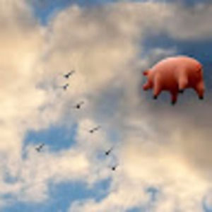 Meet your Posher, Jung